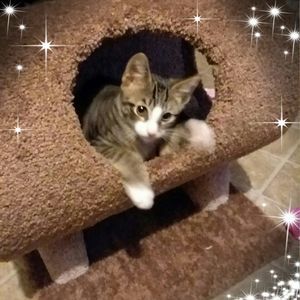 Meet your Posher, Mary